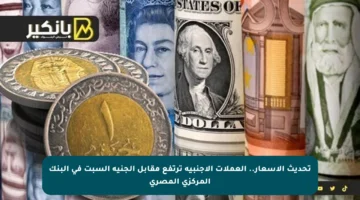 تحديث الأسعار.. العملات الأجنبية ترتفع مقابل الجنيه السبت في البنك المركزي المصري